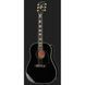 Акустична гітара Gibson J-45 Custom