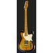 Електрогитара Fender Merle Haggard Signature Tele