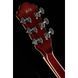 Електрогітара Ibanez GB10EM-AA