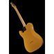 Електрогітара Fender Player Plus Nashville. MN Tele BB