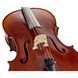 Віолончель Gewa Allegro VC1 Cello Set 3/4 CB