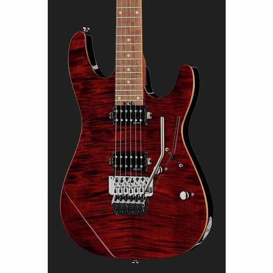 Harley Benton Fusion-III HH FR Roasted купити в інтернет-магазині