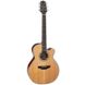 Електроакустична гітара Takamine GN20CE NS