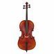 Віолончель Gewa Allegro VC1 Cello Set 3/4 MB