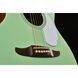 Акустична гітара Fender Newporter Player SFG WN