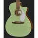 Акустична гітара Fender Newporter Player SFG WN