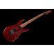 Електрогітара Harley Benton Fusion-III HH FR Roasted FCH