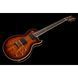 Електрогітара Schecter Solo-II Supreme CEBB