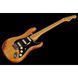 Електрогитара Fender American Pro II Stratocaster HSS MN RST PIN