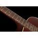 Акустична гітара Gibson J-45 Special Satin Wine Red