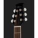 Електроакустична гітара Applause AED96-5HG Black Gloss Electro