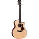 Електроакустична гітара Taylor 314ce Next Generation